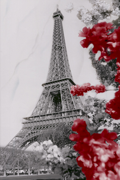 Декор Belarti La Viva LVP 1 200x300 мм 9999033870