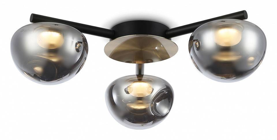 Потолочная люстра Ambrella Light LH LH12006