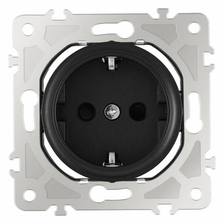 Розетка с заземлением и шторками Arte Milano am-202 202.40-1.black