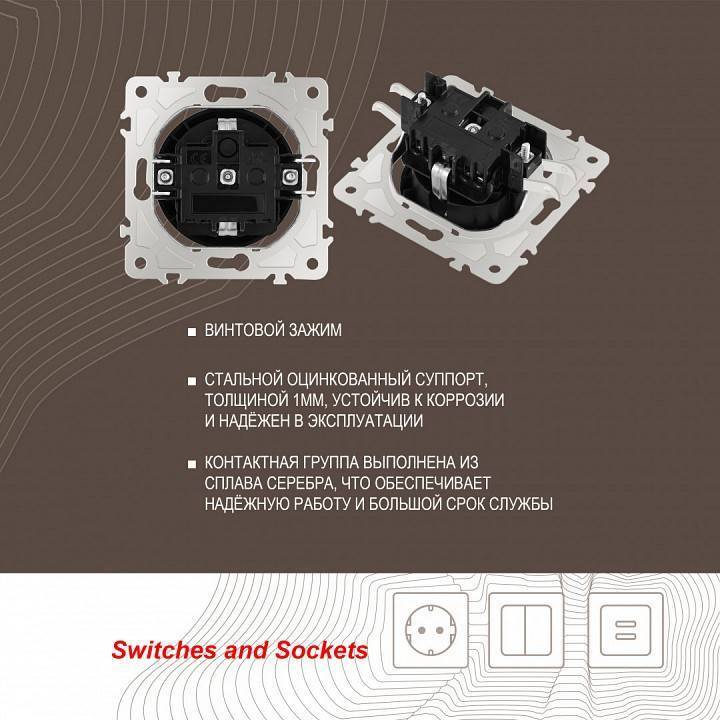 Розетка с заземлением и шторками Arte Milano am-202 202.40-1.black