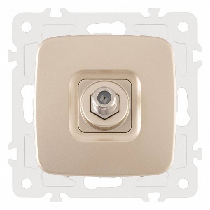 ТВ-розетка без рамки Arte Milano am-205 205.42-1.shampan