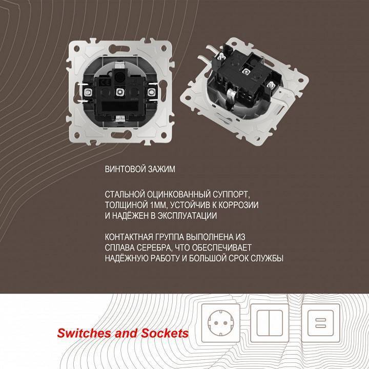 Розетка влагозащищенная с заземлением и со шторкой с крышкой Arte Milano am-206 206.41-1.silver