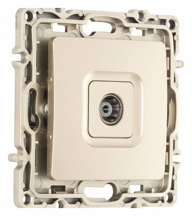 ТВ-розетка без рамки Arte Milano am-217 217.43-1.shampan