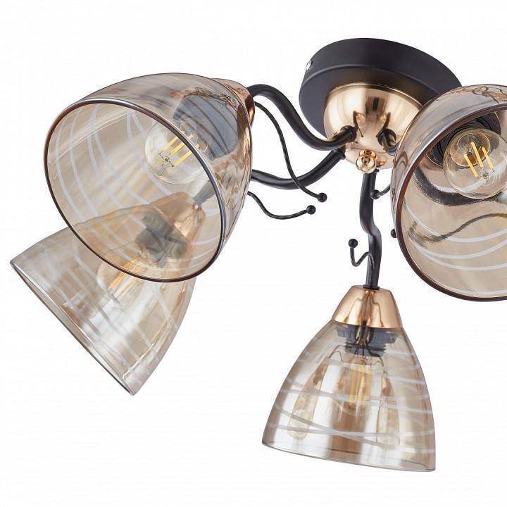 Люстра на штанге Arte Milano Napoli 5 ламп 331234/5 BK+FGD