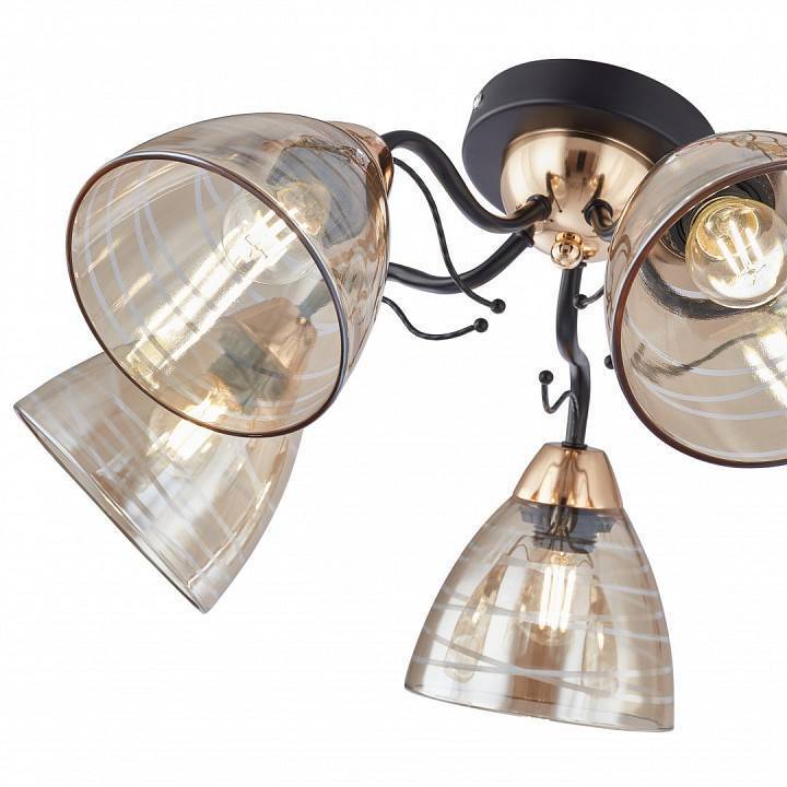 Люстра на штанге Arte Milano Napoli 5 ламп 331234/5 BK+FGD