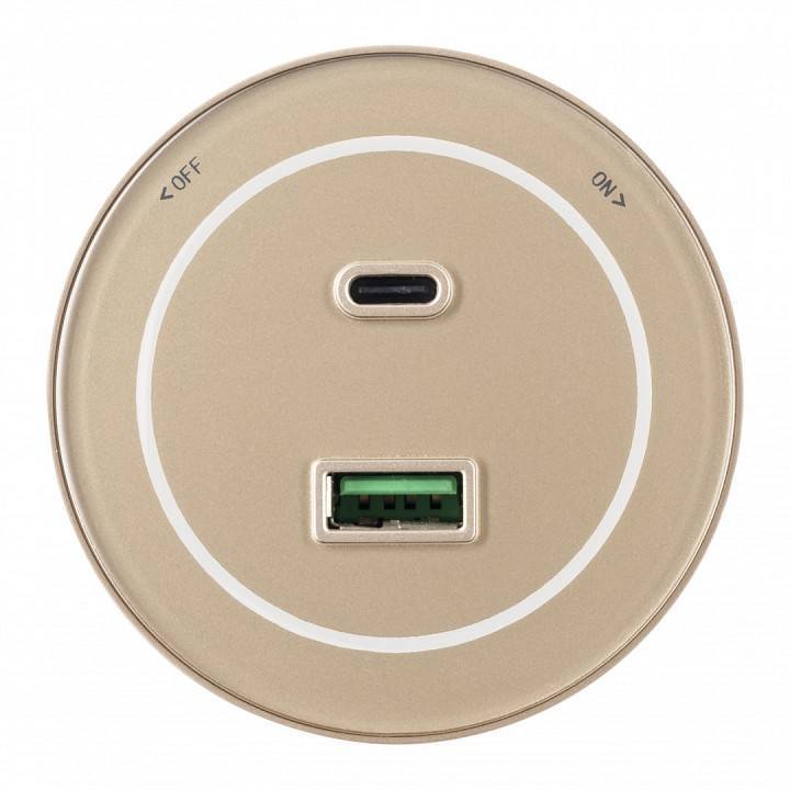 Розетка USB и type C на треке Arte Milano Am-track-sockets-39 399732TS/USB-Type-C Gold