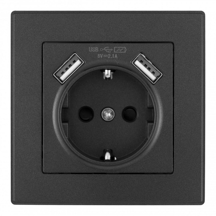 Розетка с заземлением и со шторкой и 2хUSB Arte Milano SET06-1 SET06-1-47-1 black