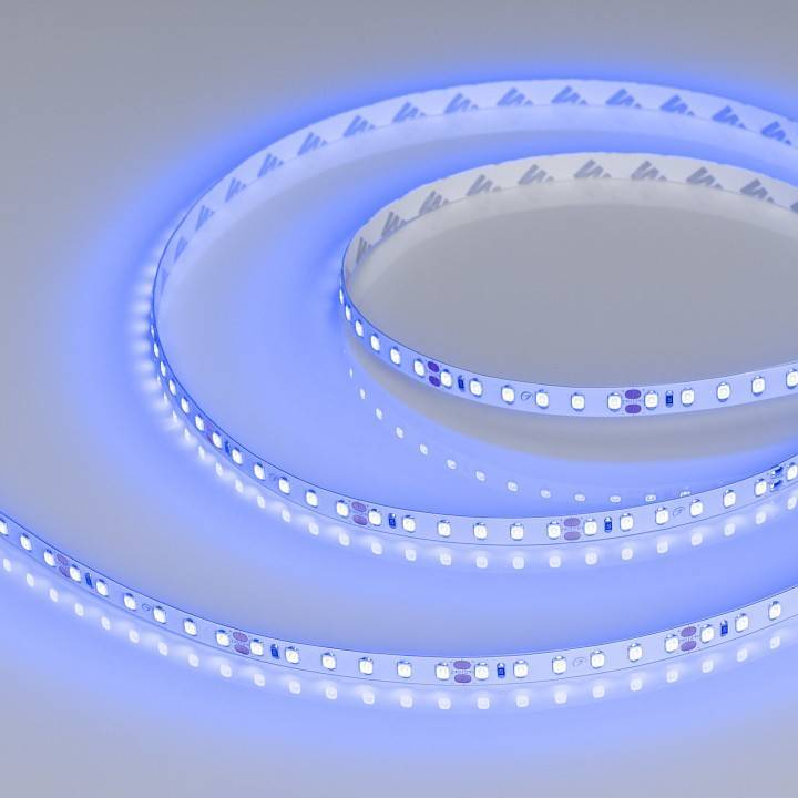 Лента светодиодная Arlight RT-A120-8mm 24V Blue 120 LED/m 008783(2)