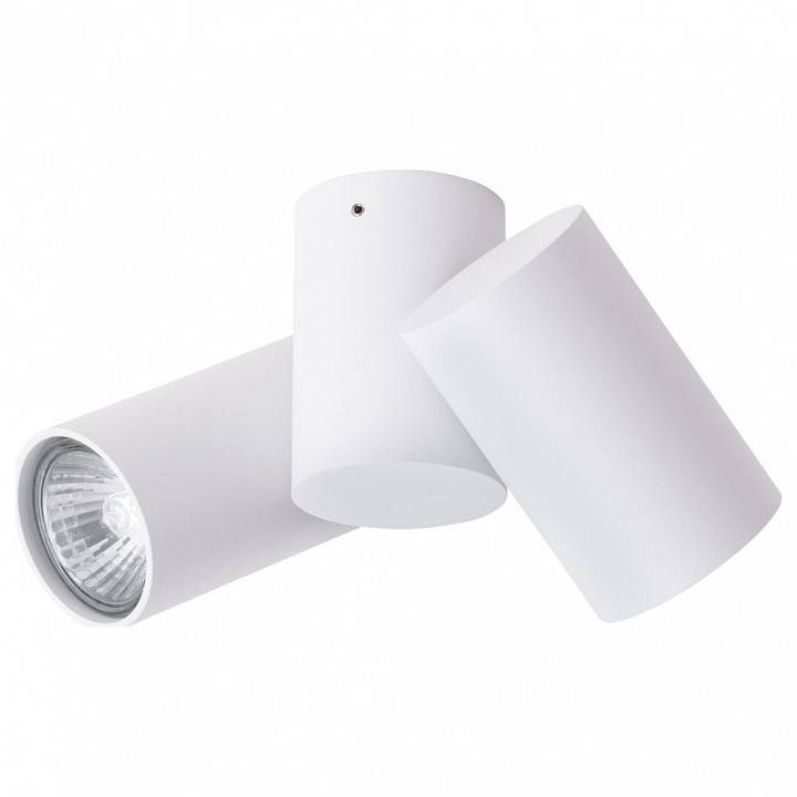 Спот Arte Lamp Gavroche 2 лампы белый A1511PL-2WH
