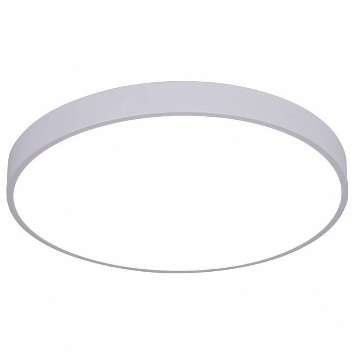 Накладной светильник Arte Lamp Arena A2670PL-1WH