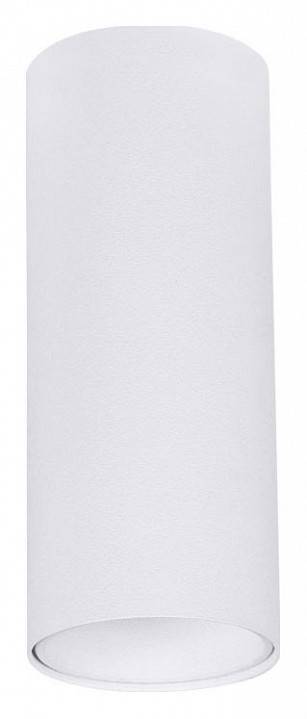 Накладной светильник Arte Lamp Net Mini A6450PL-1WH