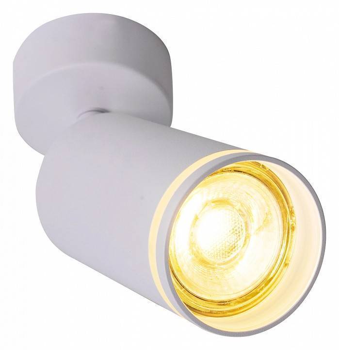 Спот Brizzi Aras BR08077