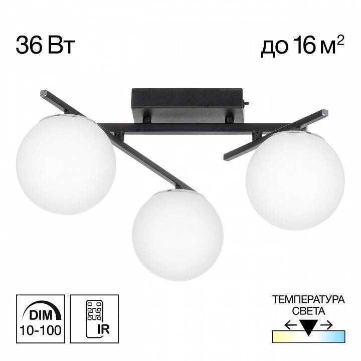 Потолочная люстра Citilux Dorsy CL223132