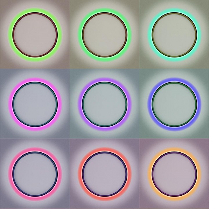 Накладной светильник Citilux ETALON CL750321R