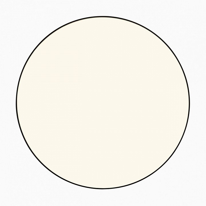 Накладной светильник Citilux BART CL755391