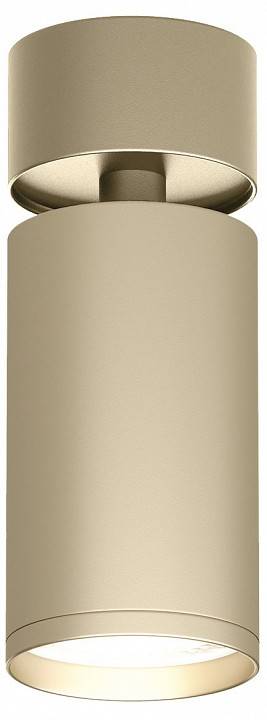 Спот Denkirs Tube DK2029-GG