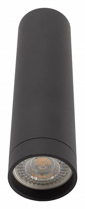 Накладной светильник Denkirs DK2000 DK2052-BK