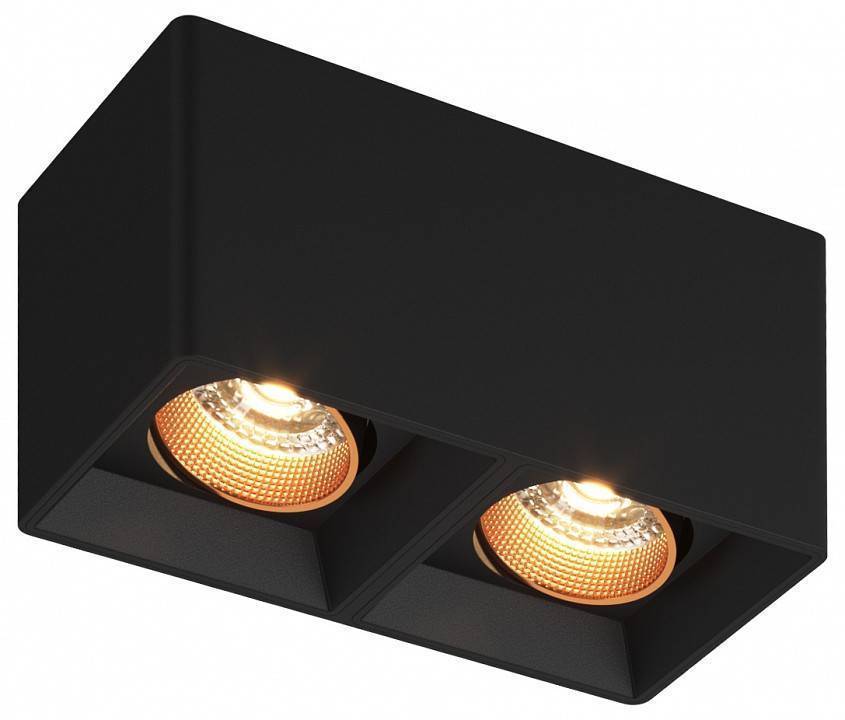 Накладной светильник Denkirs DK3030 DK3085-BK+BR