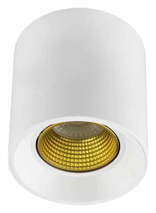 Накладной светильник Denkirs DK3090-WH+YE