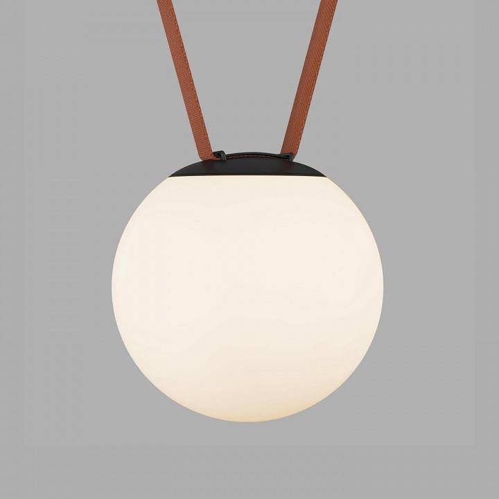 Накладной светильник Denkirs BELTY ORB DK5553-BK