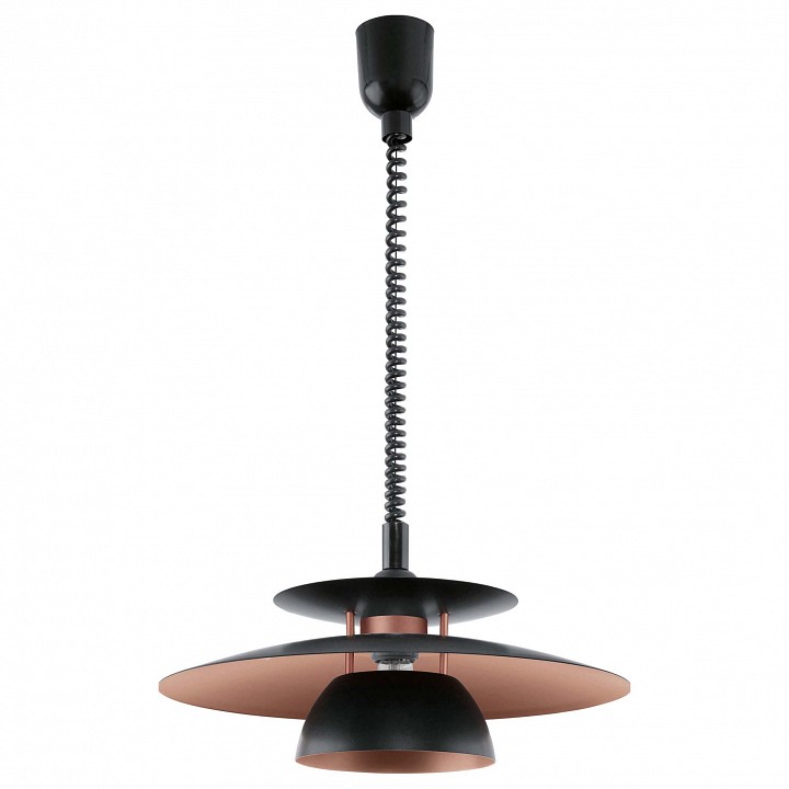 Подвесной светильник Eglo Brenda 1xE27 31666