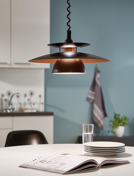 Подвесной светильник Eglo Brenda 1xE27 31666