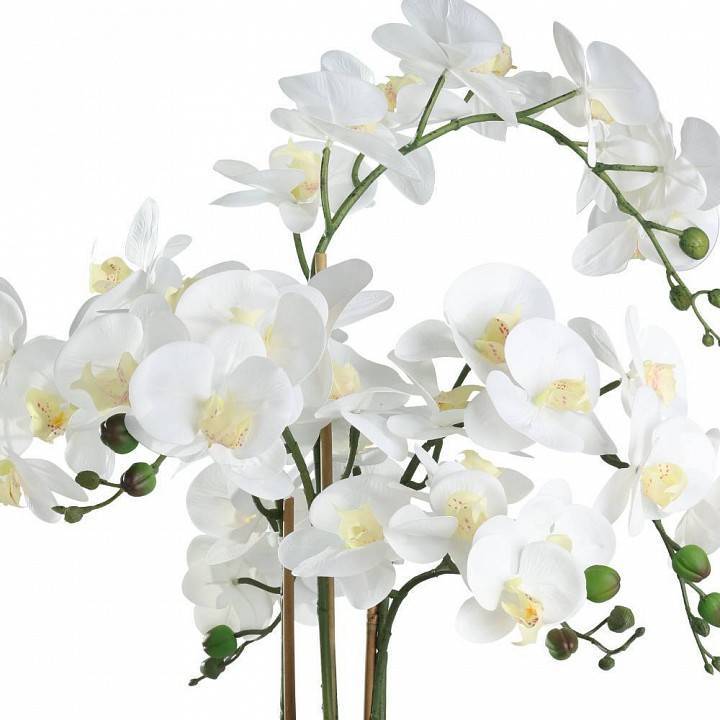 Растение в горшке Eglo Hyuga 428024