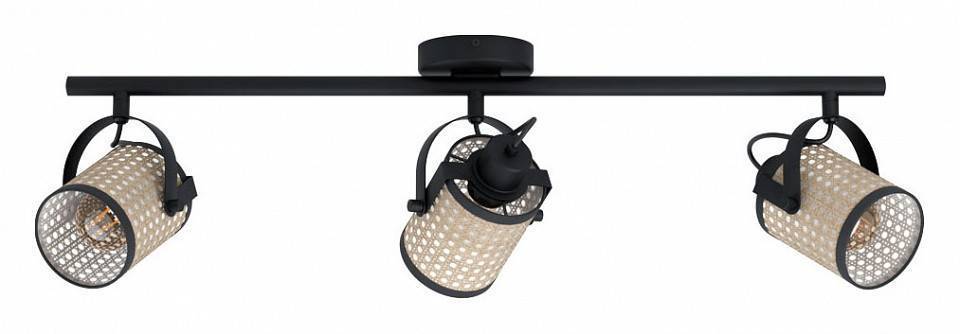 Спот EGLO Ruscomb 2хE27 43495