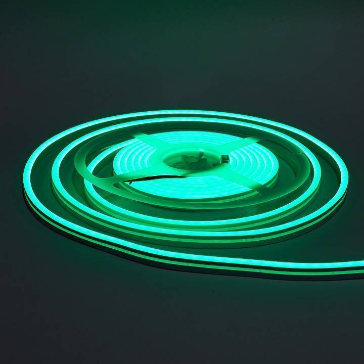 Шнур световой Eleganz  EL-N24-96G