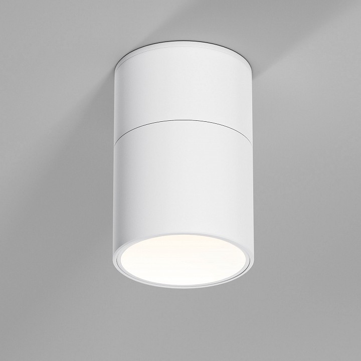 Накладной светильник Elektrostandard Rolly a067487