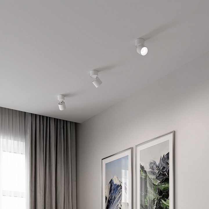 Накладной светильник Elektrostandard Rolly a067487