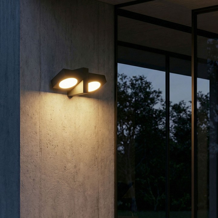 Накладной светильник Elektrostandard Twin 35170/D