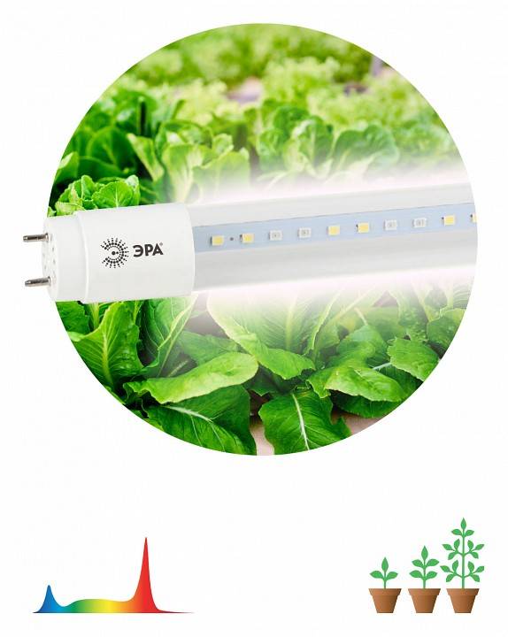 Лампа светодиодная Эра T8 G13 9 Вт 1200 K XGYT8B102-E9 RW