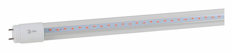 Лампа светодиодная фито ЭРА G13 18 Вт 1200 K T8 XGYT8B102-E9 RW