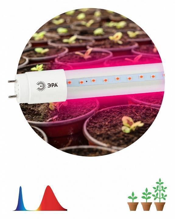 Лампа светодиодная фито ЭРА G13 18 Вт 1200 K T8 XGYT8B102-E9 RW