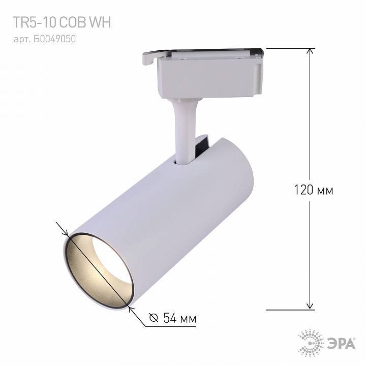 Светильник на штанге Эра  TR5-10 COB WH
