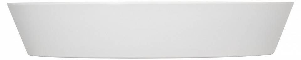 Накладной светильник Эра  SPB-6-80-RC Locus RGB