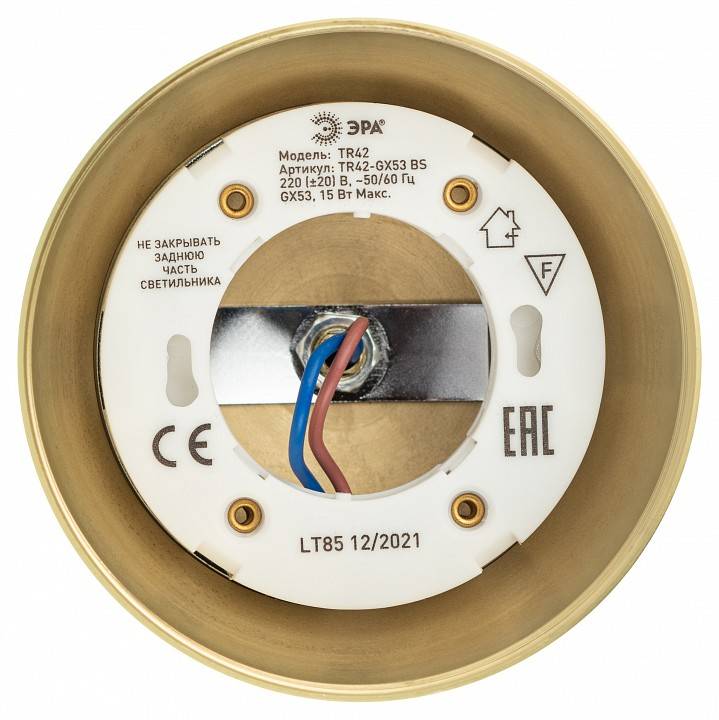 Светильник на штанге Эра  TR42-GX53 MG