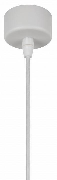 Подвесной светильник Эра PL18 WH/CL Б0058481