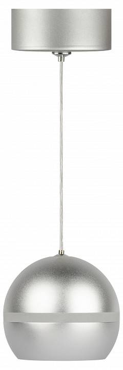 Подвесной светильник ЭРА PL21 SL Б0058505