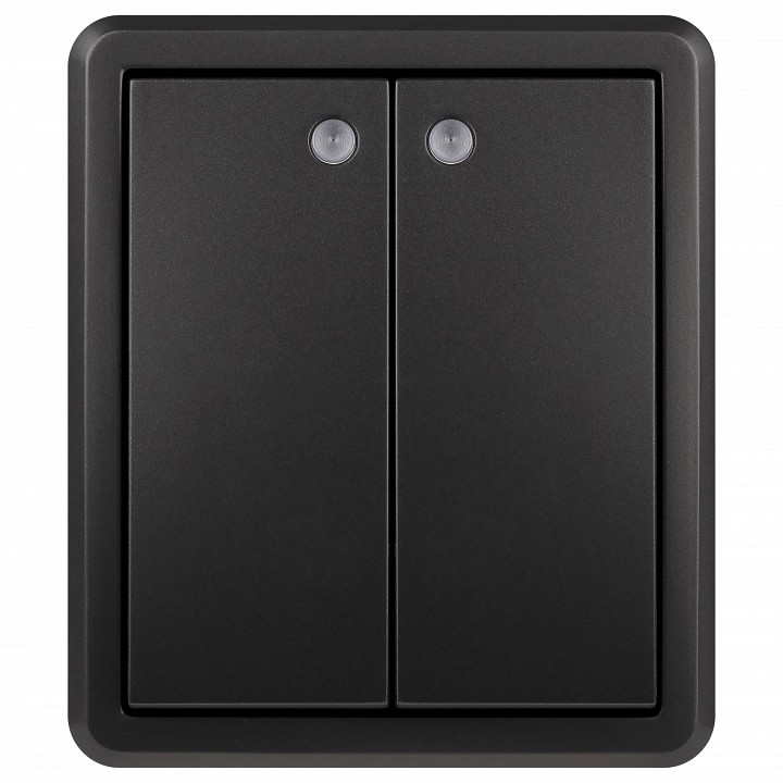 Выключатель двухклавишный с подсветкой Эра Эра Эксперт 11-1205-05