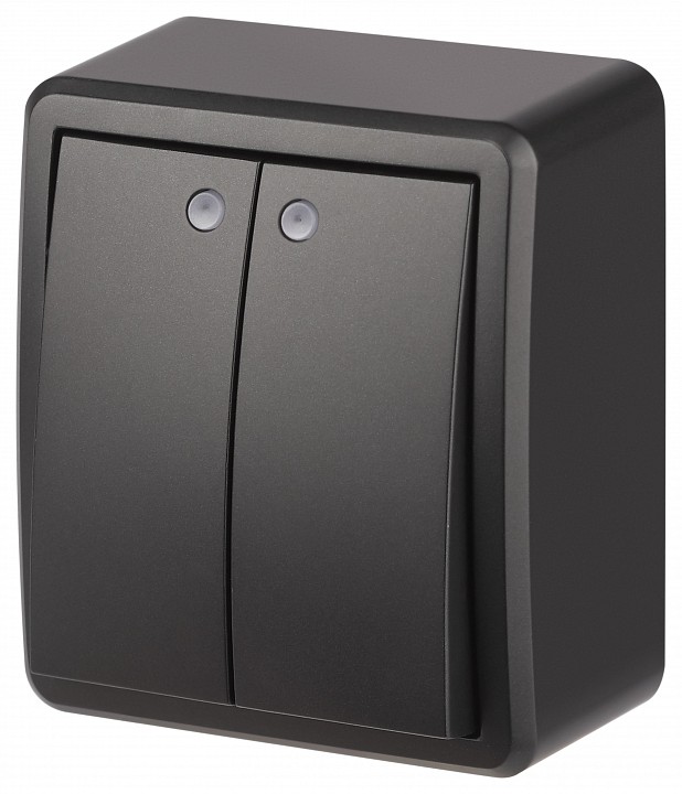 Выключатель двухклавишный с подсветкой Эра Эра Эксперт 11-1205-05