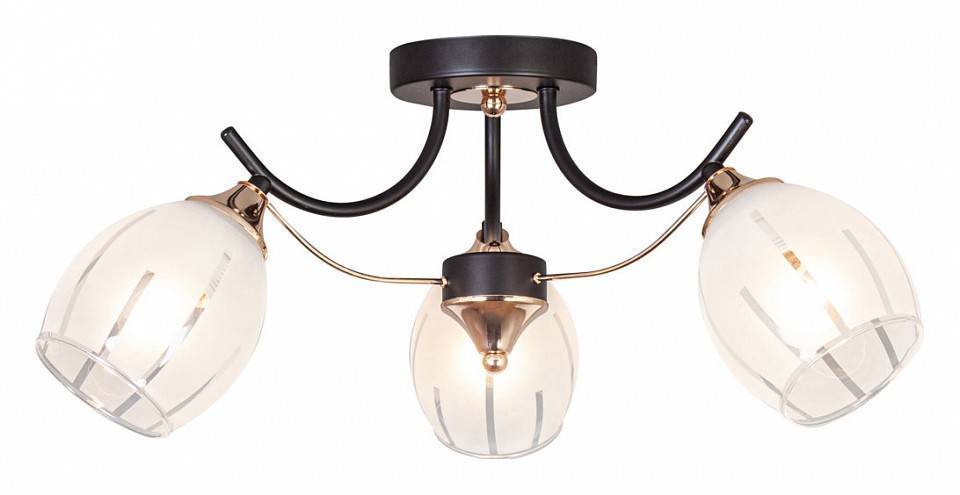 Потолочная люстра Escada Alin 1104/3P