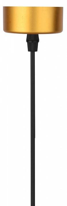 Подвесной светильник Escada 20037 LED 20037SMP/01LED SGD/SBK