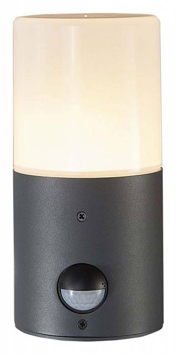 Светильник на штанге Escada Pair 581/1A