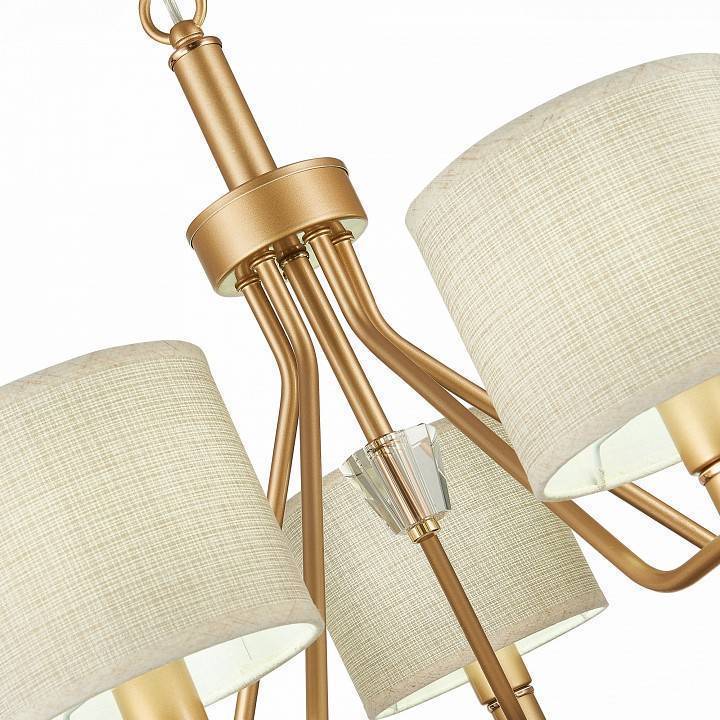 Подвесная люстра EVOLUCE Vilede 5 ламп SLE107003-05