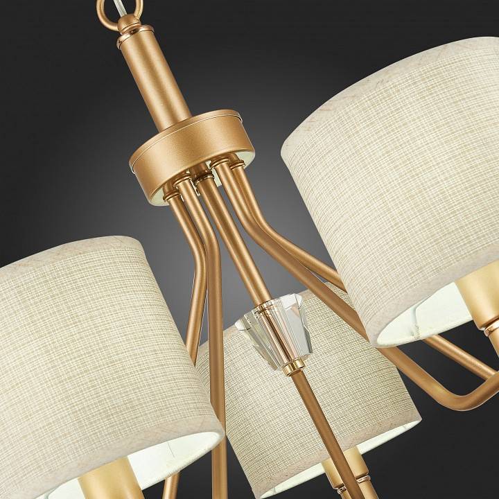 Подвесная люстра EVOLUCE Vilede 5 ламп SLE107003-05