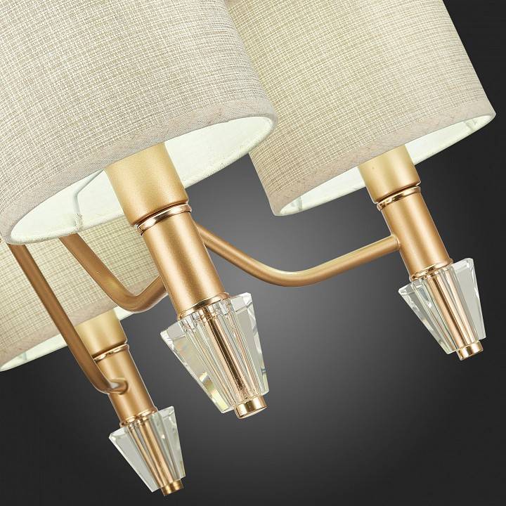 Подвесная люстра EVOLUCE Vilede 5 ламп SLE107003-05