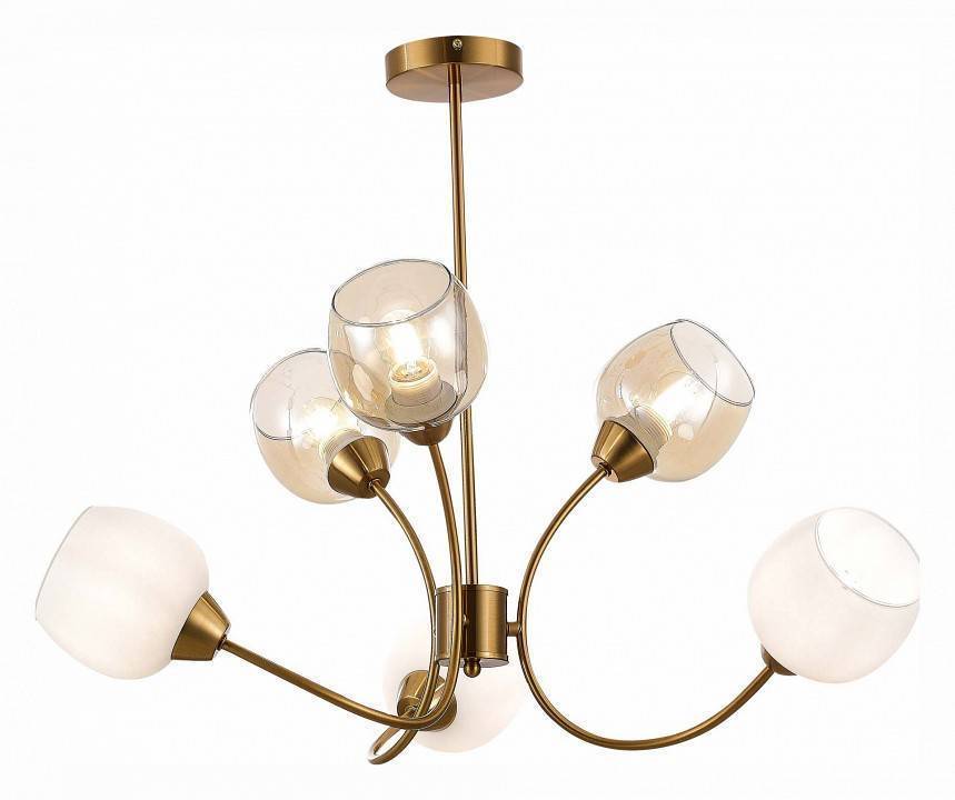 Люстра на штанге EVOLUCE Tratti 6 ламп SLE1136-302-06