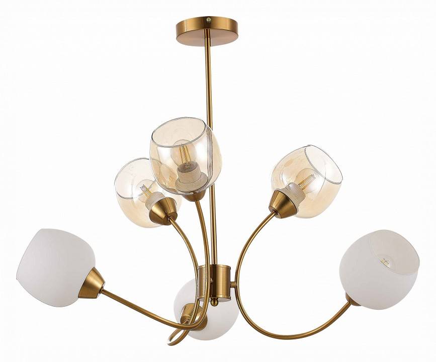 Люстра на штанге EVOLUCE Tratti 6 ламп SLE1136-302-06